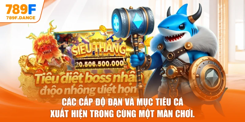 Các cấp độ đạn và mục tiêu cá xuất hiện trong cùng một màn chơi.