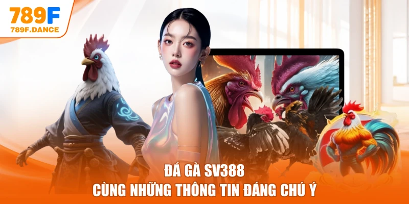 Đá gà SV388 cùng những thông tin đáng chú ý